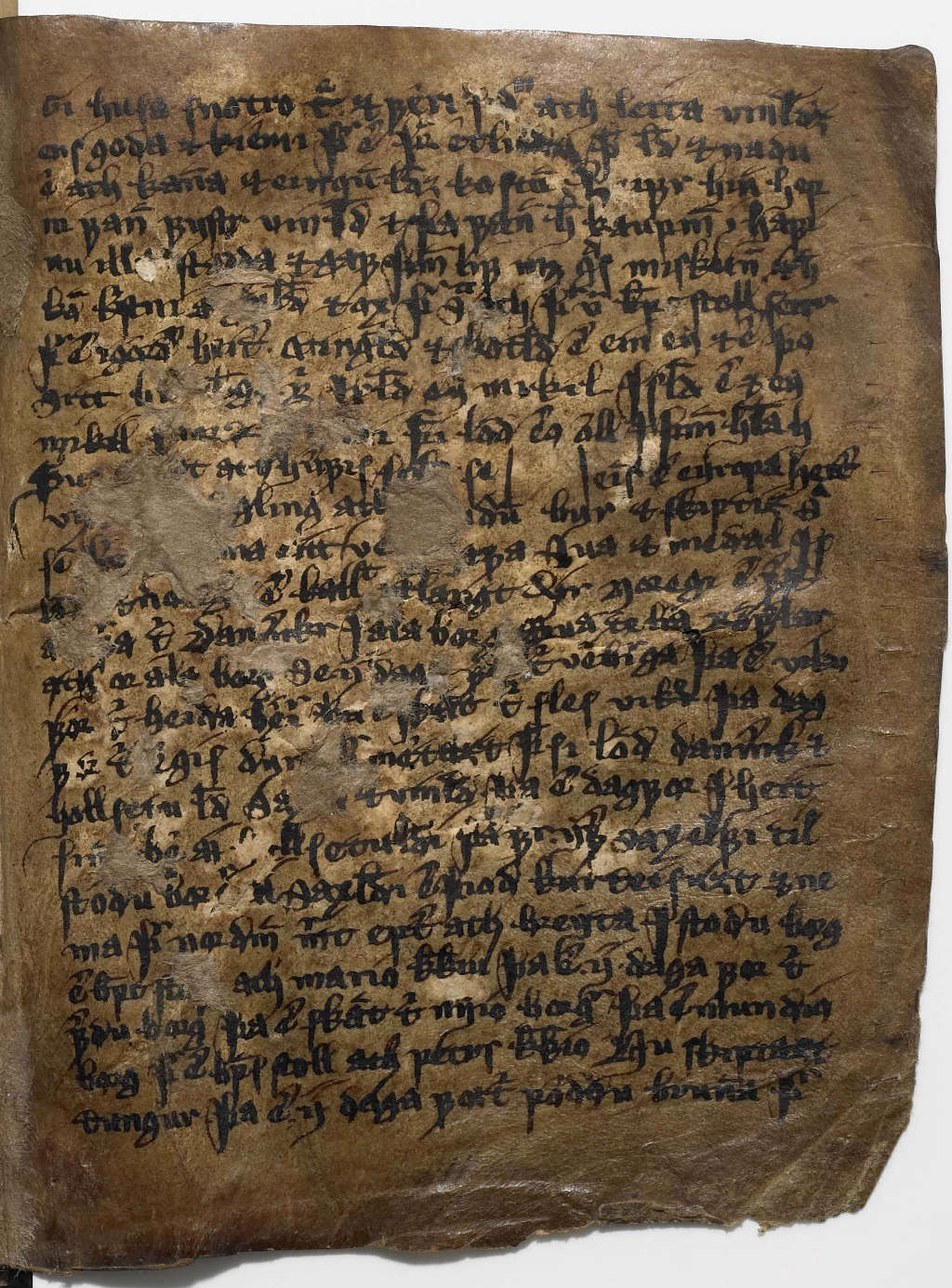 Bild von am194-11r