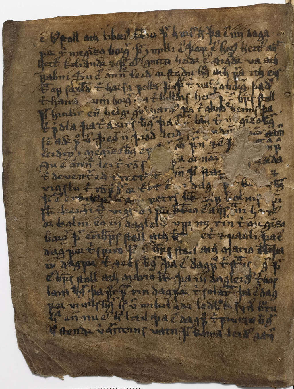Bild von am194-11v