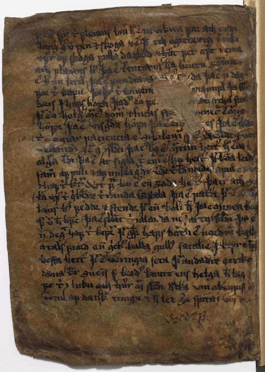Bild von am194-14v